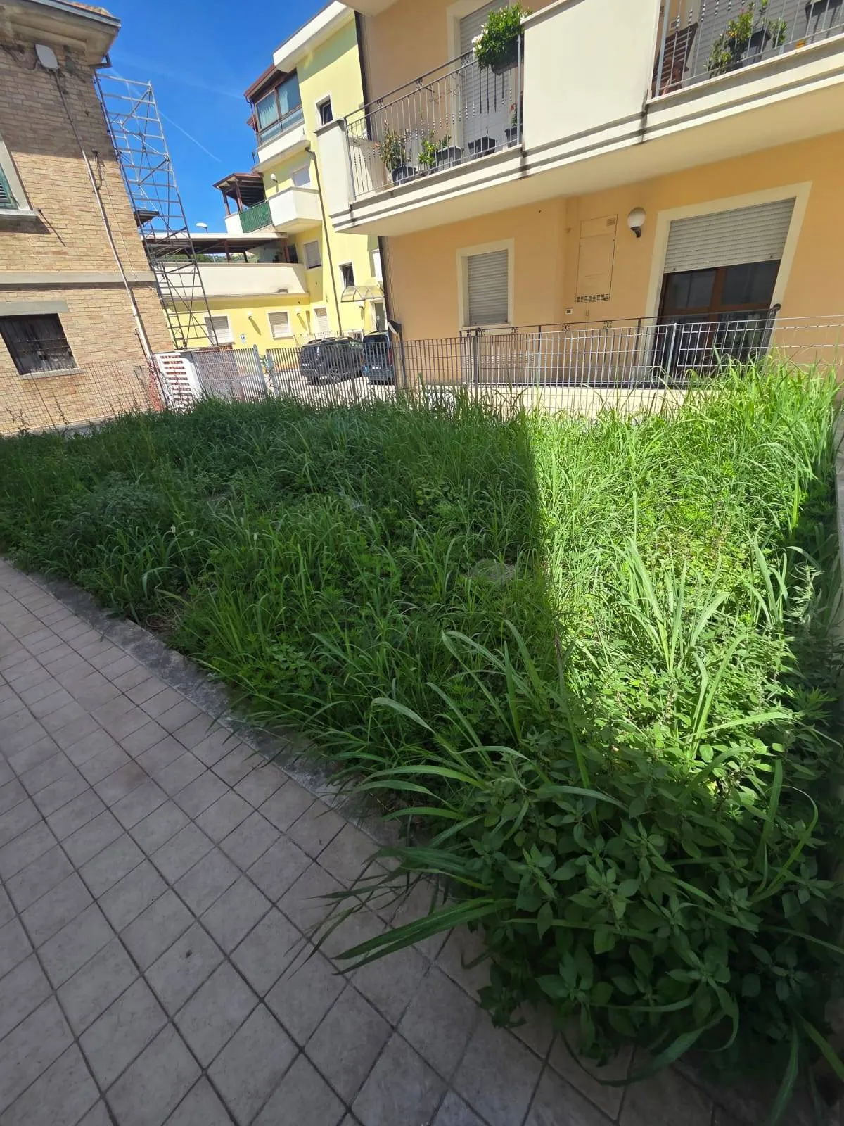 Appartamento in vendita a San Benedetto del Tronto, Conad - foto 4