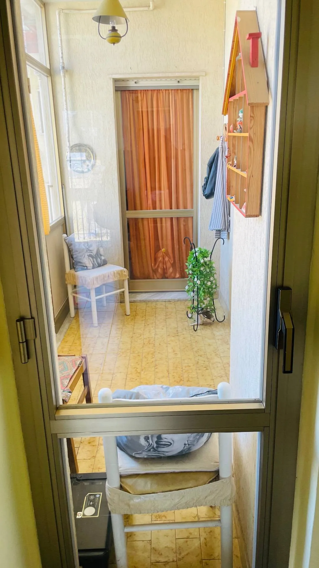 Appartamento in vendita a San Giorgio del Sannio - foto 7