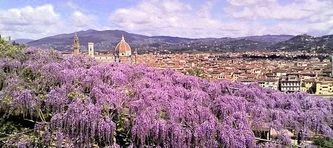 Appartamenti di varie metrature e tipologie in città in vendita a Firenze - foto 4