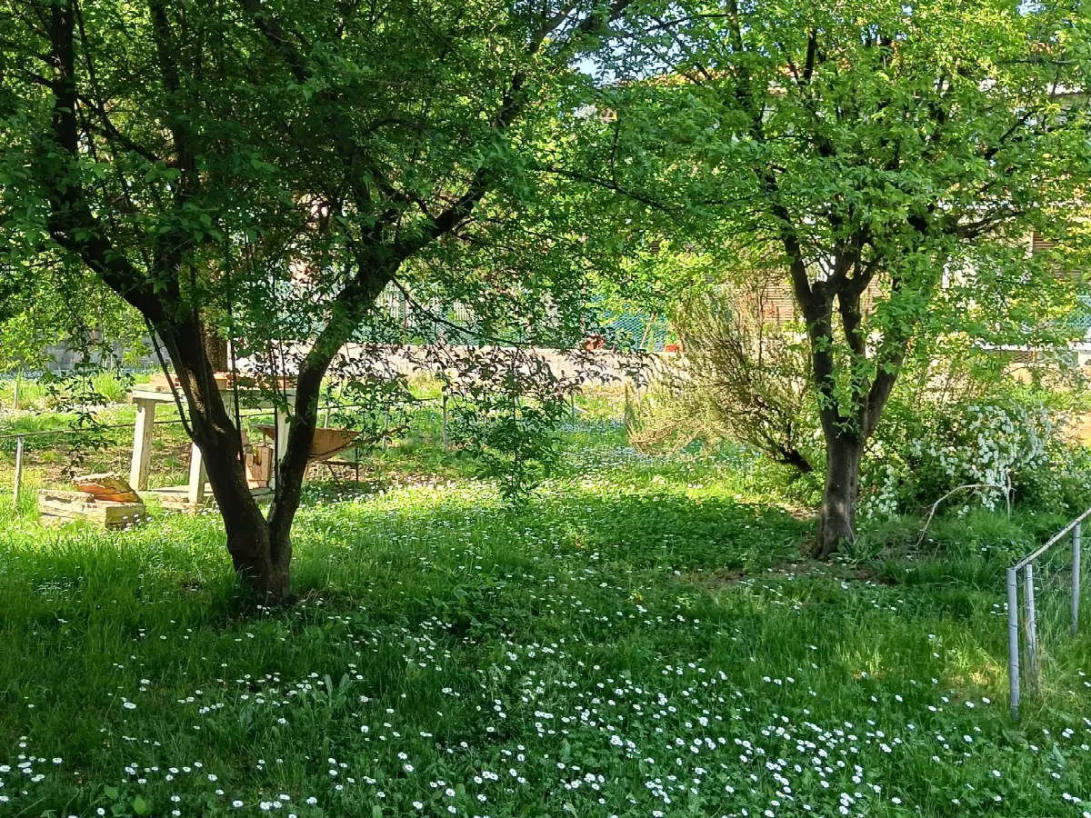 Appartamento in vendita a Paderno Dugnano, Calderara - foto 7