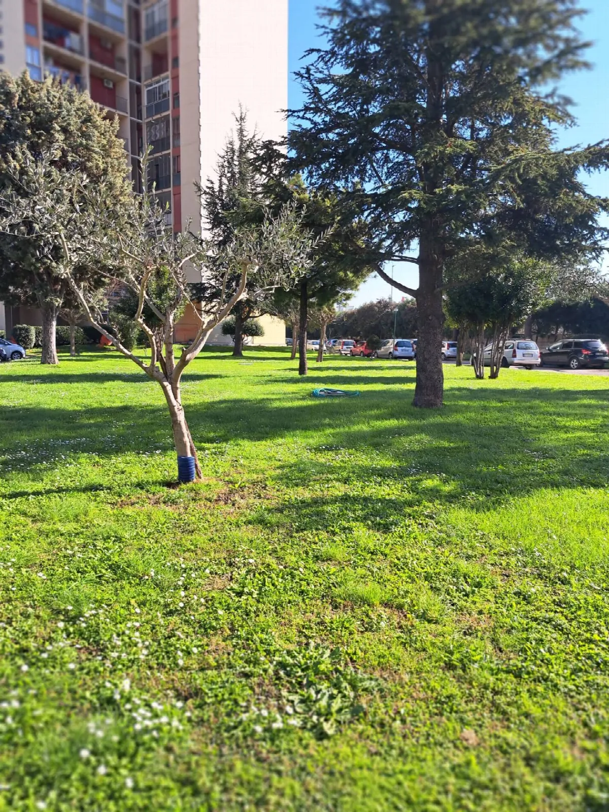 Appartamento in vendita a Marigliano - foto 2