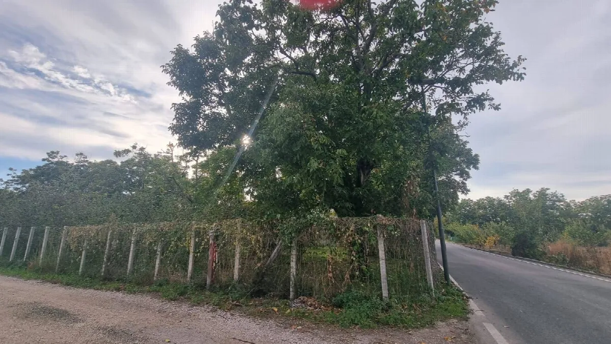 Abitazioni tipiche storiche in vendita a Brusciano - foto 1