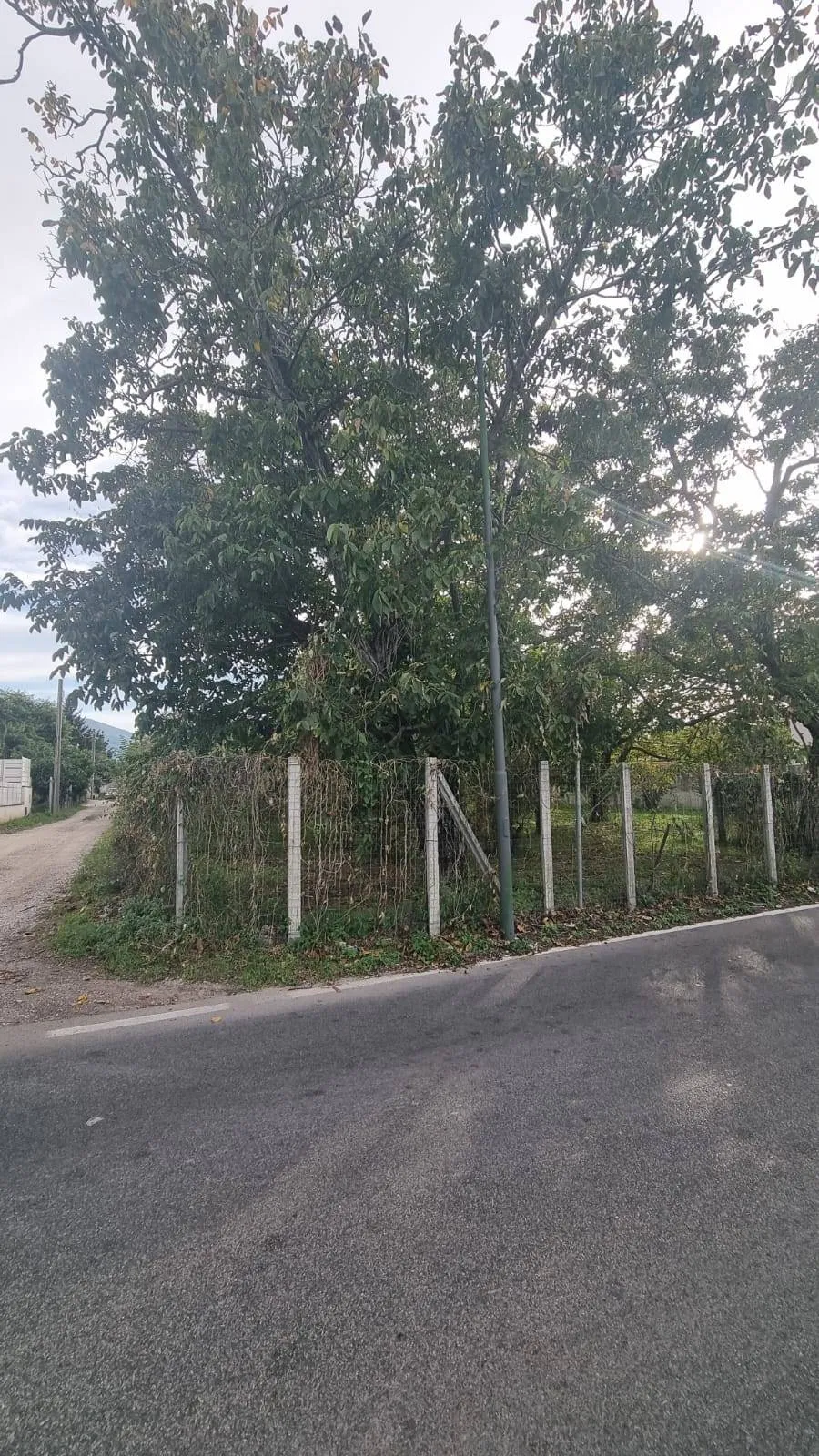 Abitazioni tipiche storiche in vendita a Brusciano - foto 3