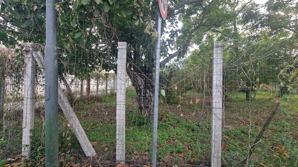Abitazioni tipiche storiche in vendita a Brusciano - foto 4