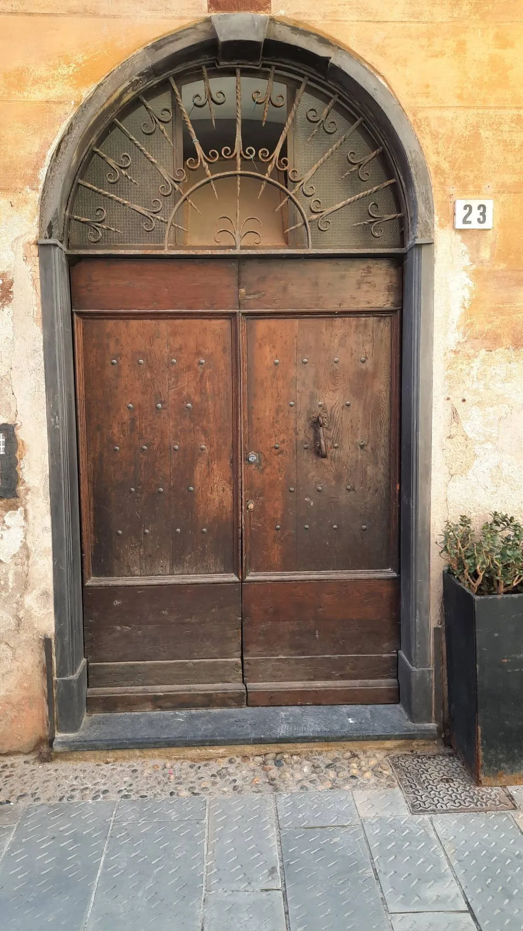 Appartamento in vendita a Ceriale - foto 4