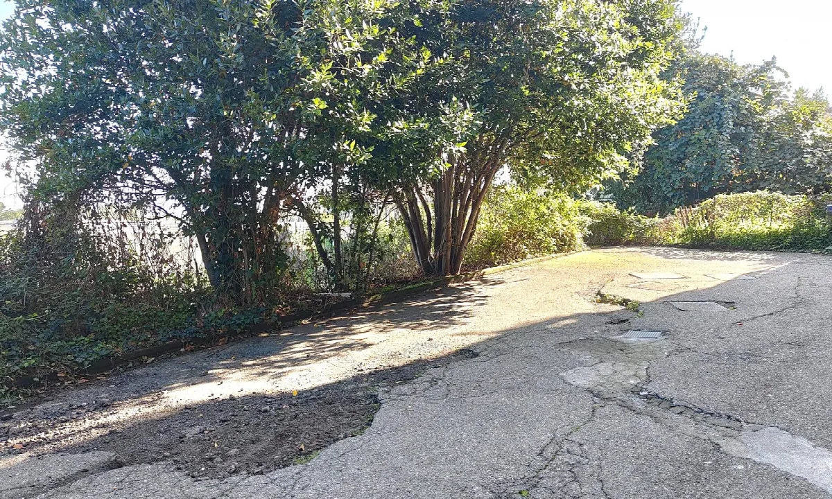 Quadrilocale in vendita a Zafferana Etnea - foto 4