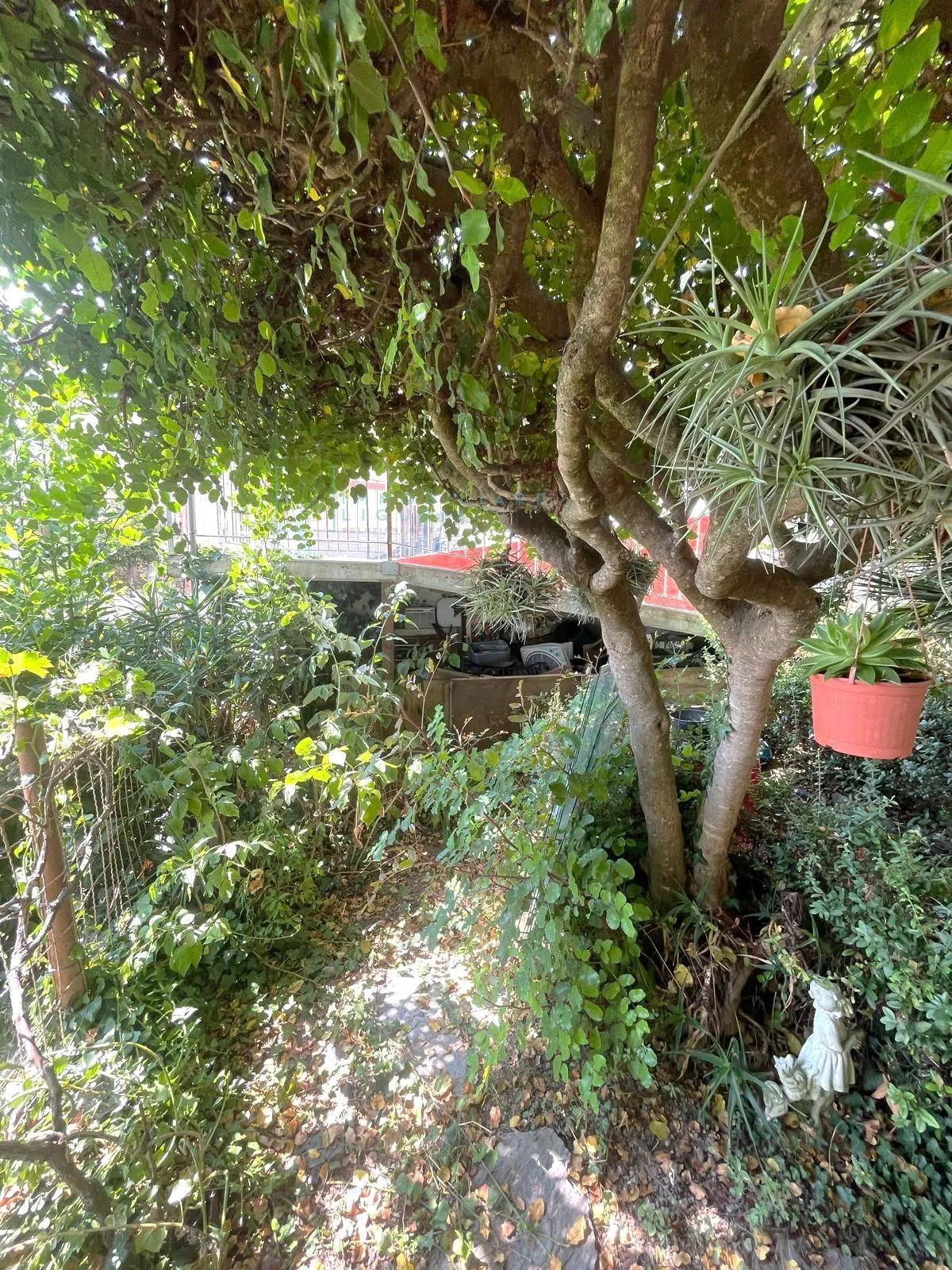 Appartamento in vendita a Borghetto d'Arroscia, Leverone - foto 6