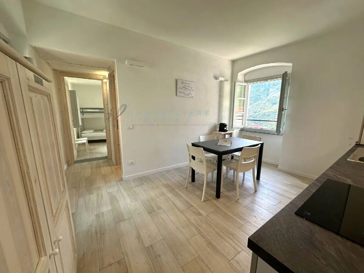 Appartamento in vendita a Castelbianco, Vesallo - foto 4