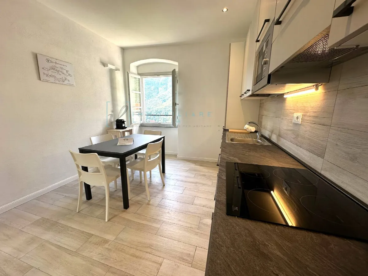 Appartamento in vendita a Castelbianco, Vesallo - foto 5