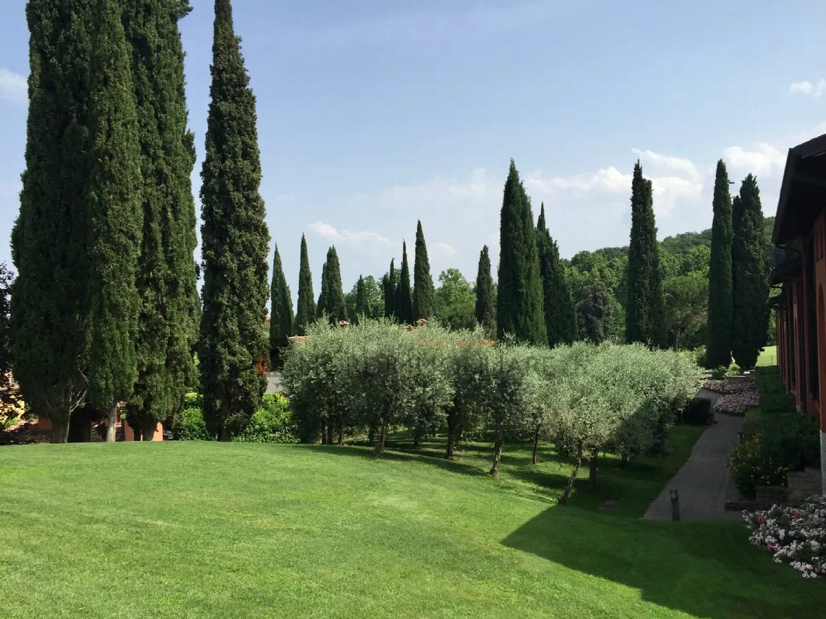 Appartamento Trilocale in vendita a Polpenazze del Garda, * COLLINARE * - foto 8