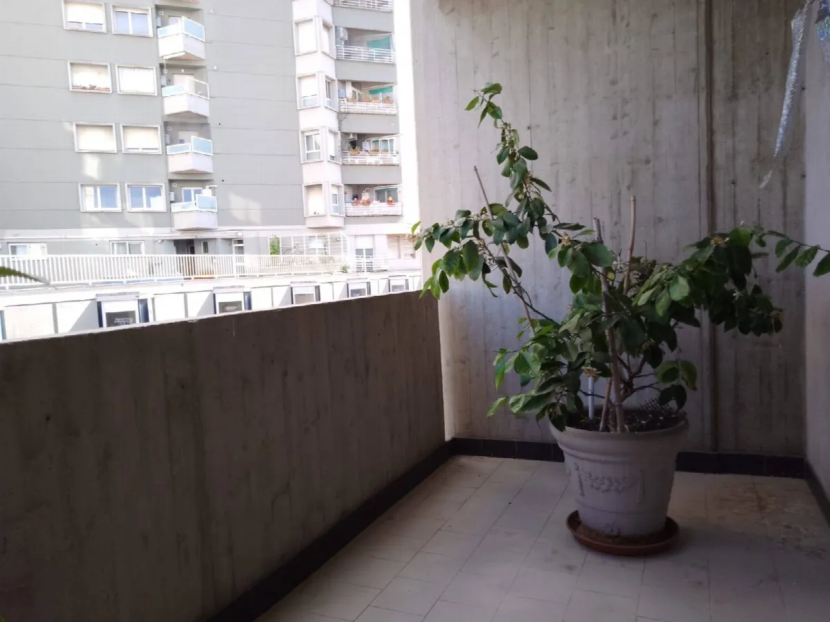 Appartamento in vendita a Giulianova, Lido - foto 8