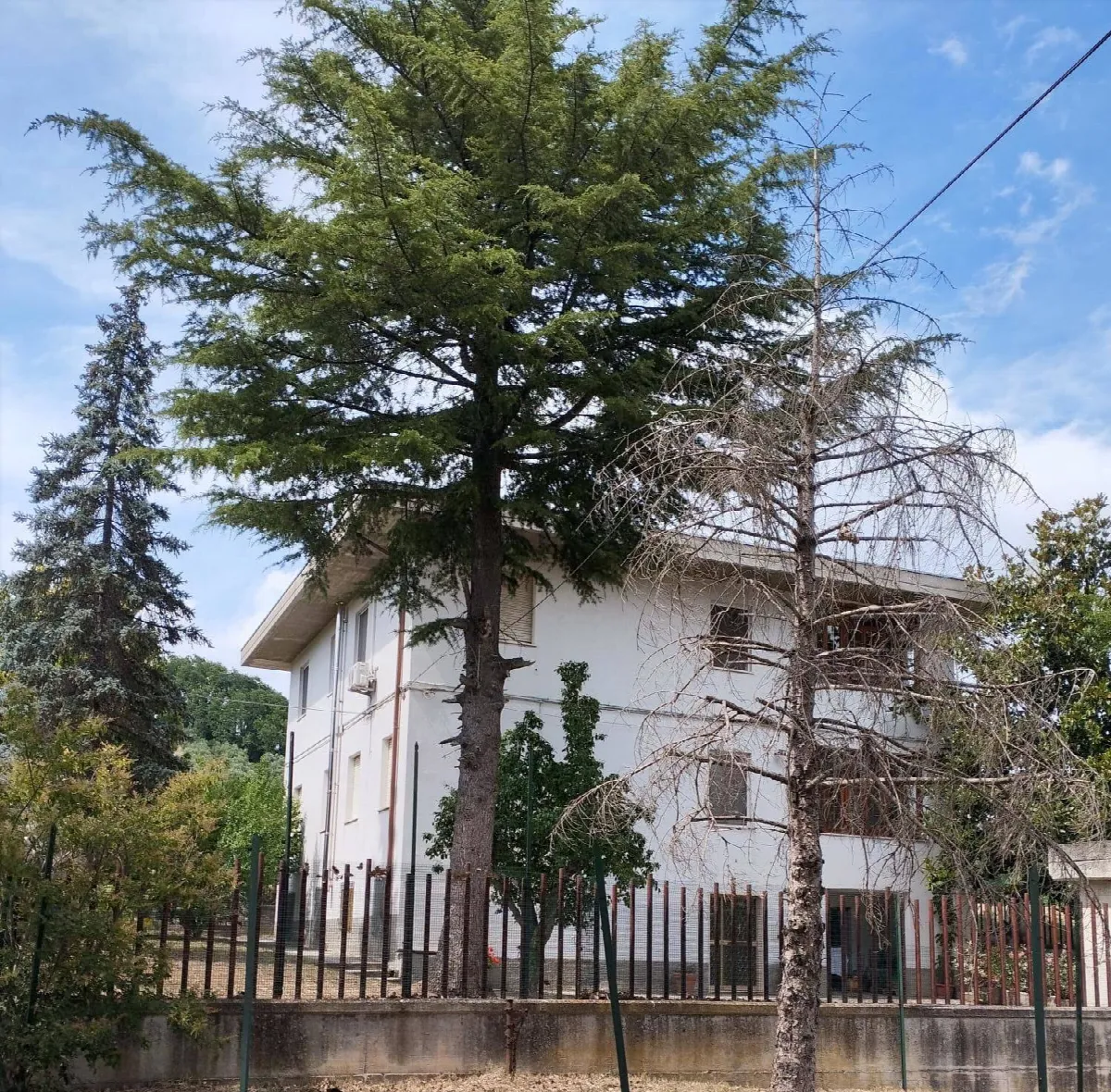 Appartamento in vendita a Teramo, Villa Vomano - foto 1