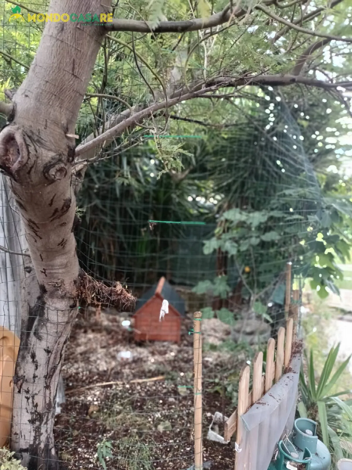 Appartamento in vendita a Moricone - foto 2