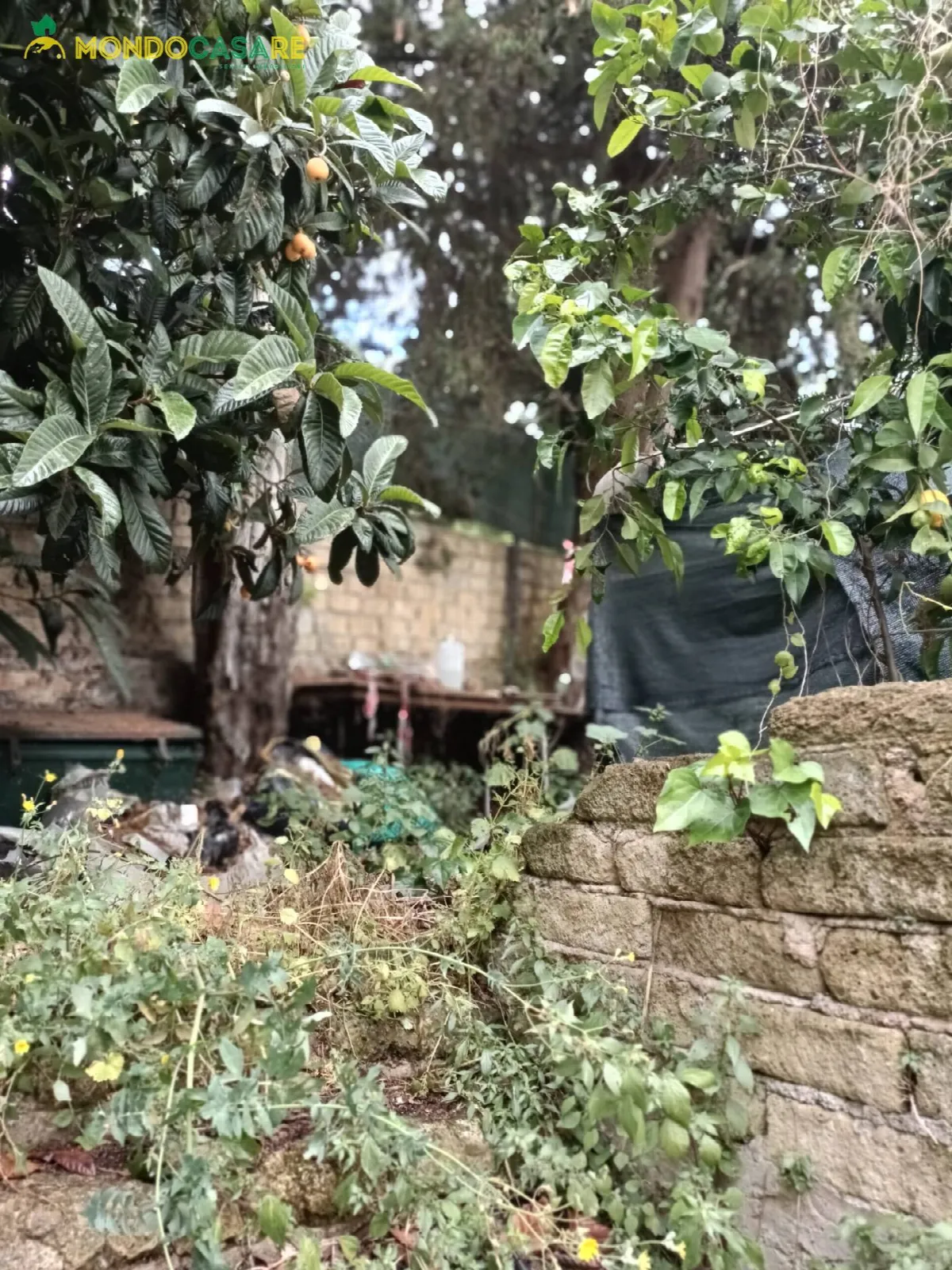 Appartamento in vendita a Moricone - foto 3