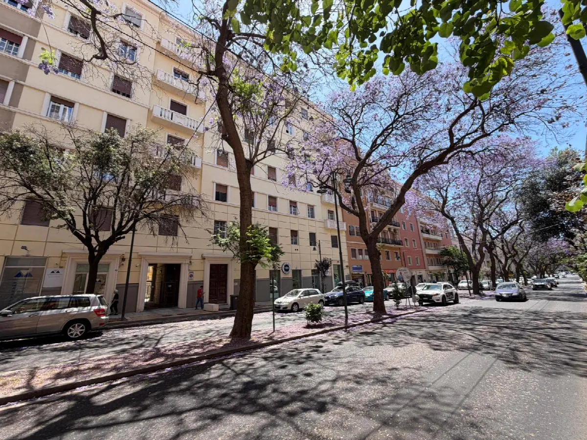 Appartamento in vendita a Cagliari, Centro - foto 1