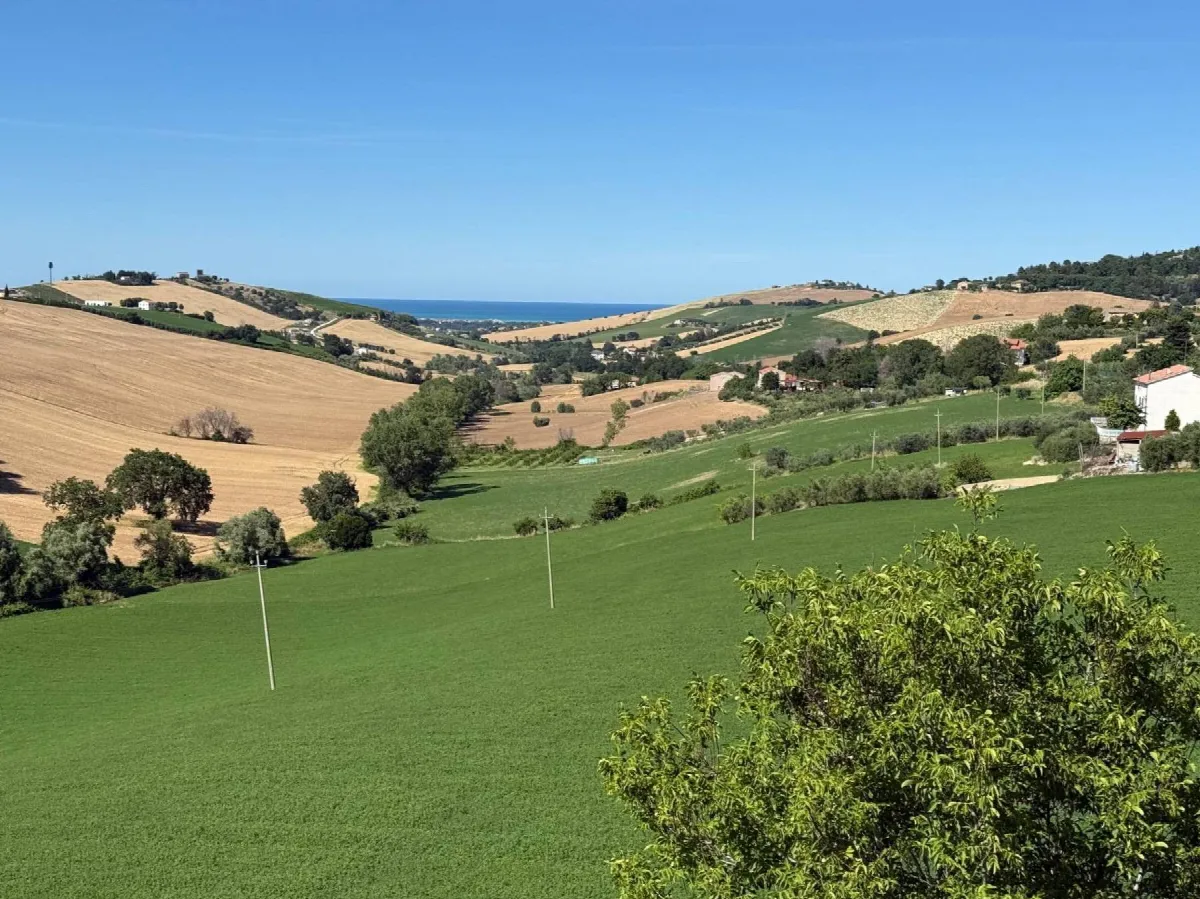 Appartamento in vendita a Fermo - foto 4