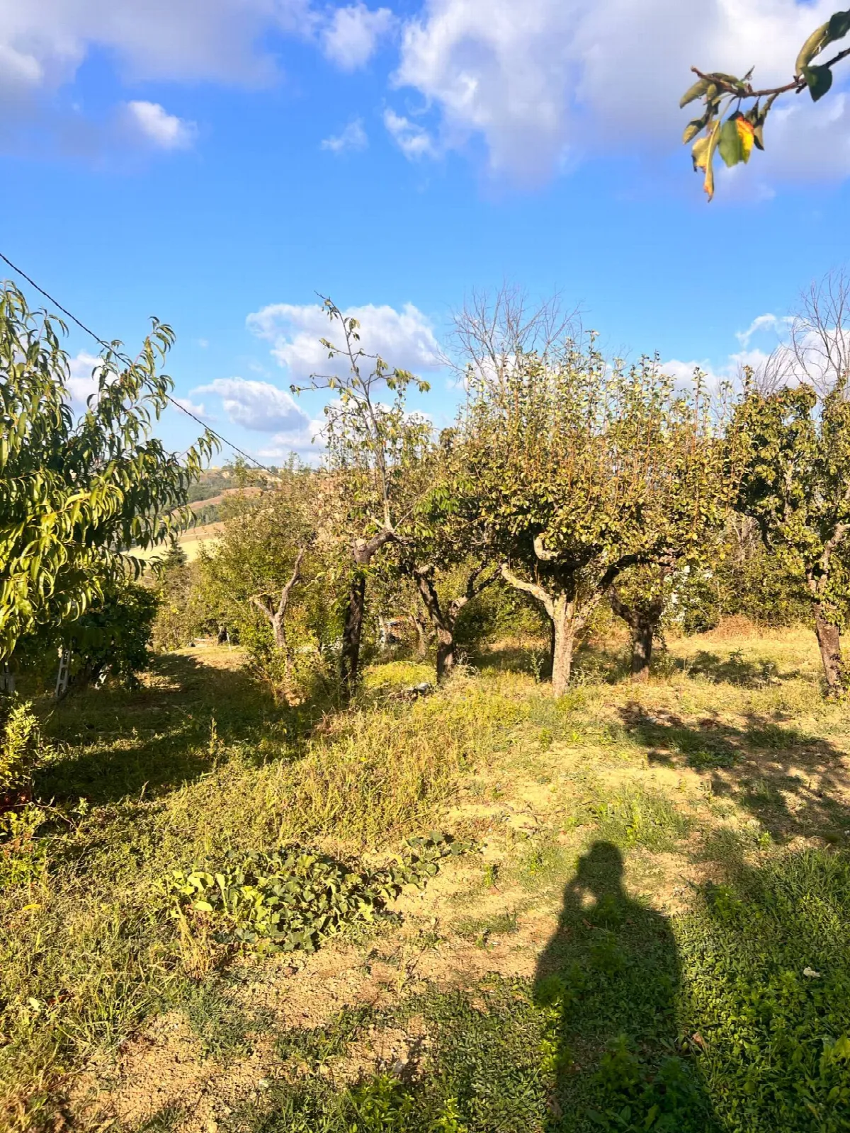 Appartamento in vendita a Santa Vittoria in Matenano - foto 10