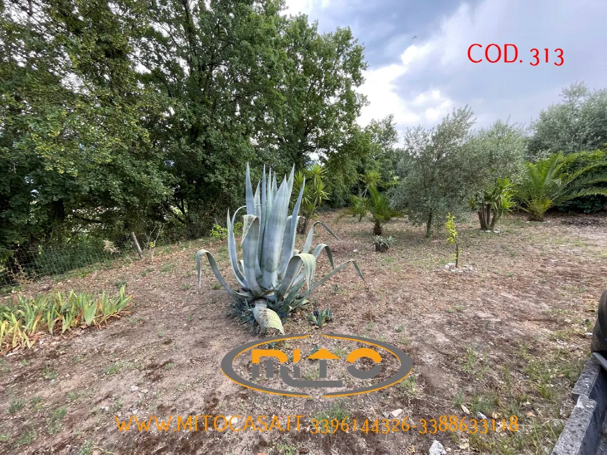 Appartamento in vendita a Telese Terme - foto 2