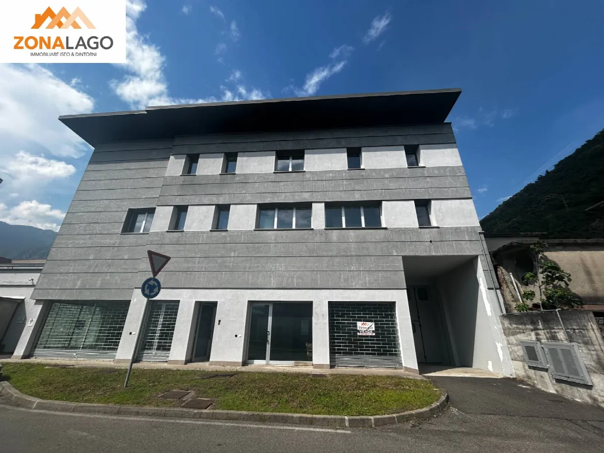 APPARTAMENTO in vendita a Pisogne, Rovina - foto 1