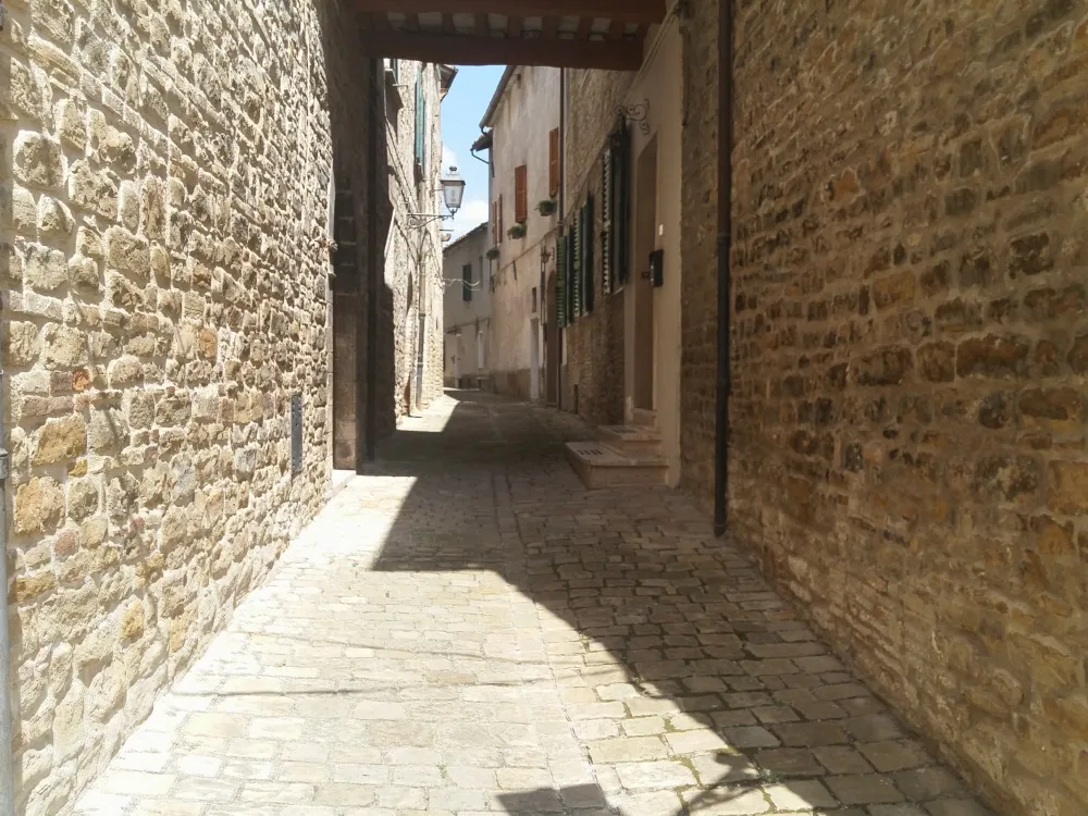Casa nei borghi e castelli  in vendita a Serra San Quirico - foto 5