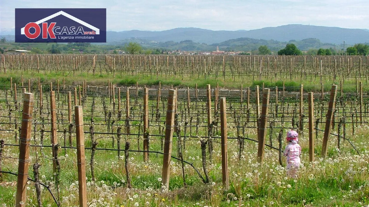 Appartamento in vendita a San Lorenzo Isontino - foto 3