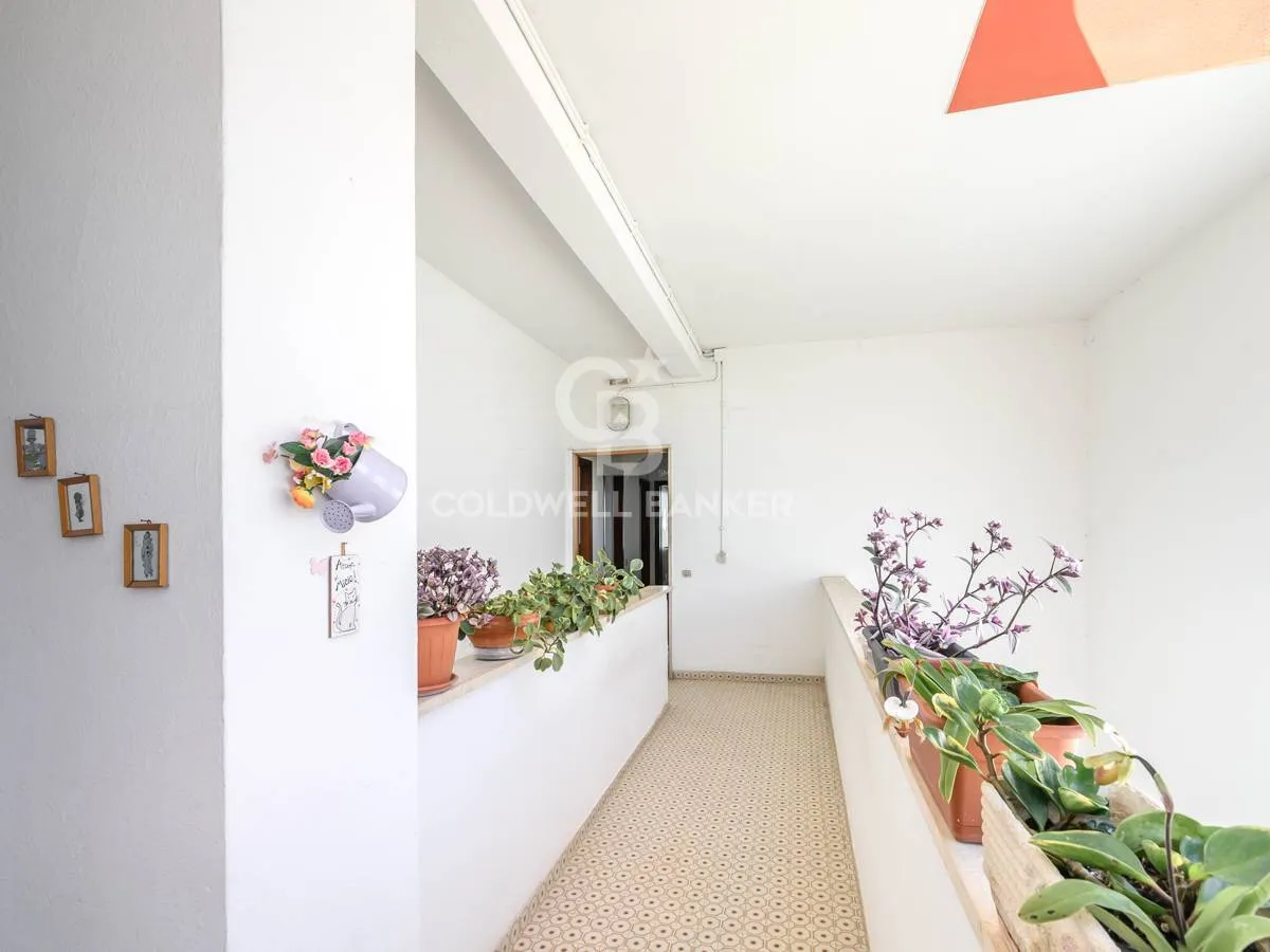 3 locali in vendita a Santa Marinella, Alibrandi - foto 9
