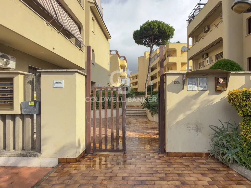 2 locali in vendita a Santa Marinella - foto 4