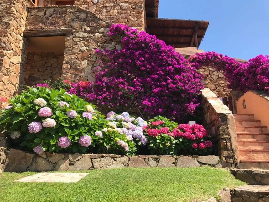 Attico in vendita a Olbia, Porto Rotondo - foto 2