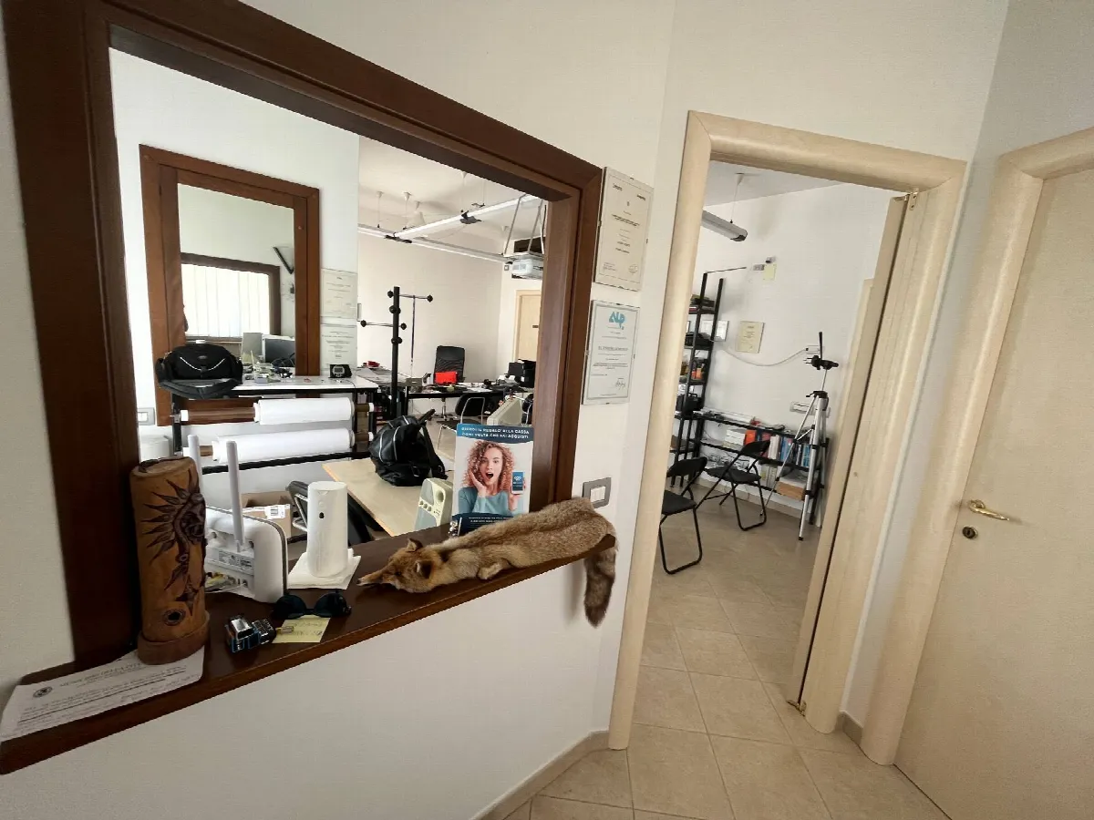 Appartamento in vendita a Vasto, ZONA PERIFERICA - foto 4