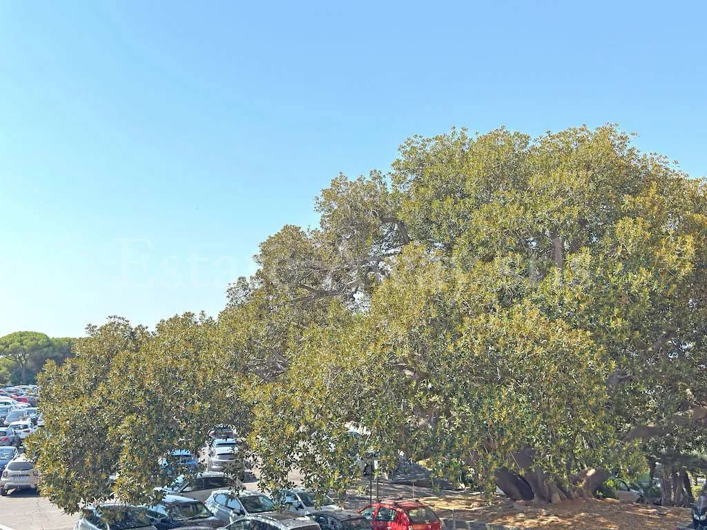 Appartamento in vendita a Bordighera - foto 10