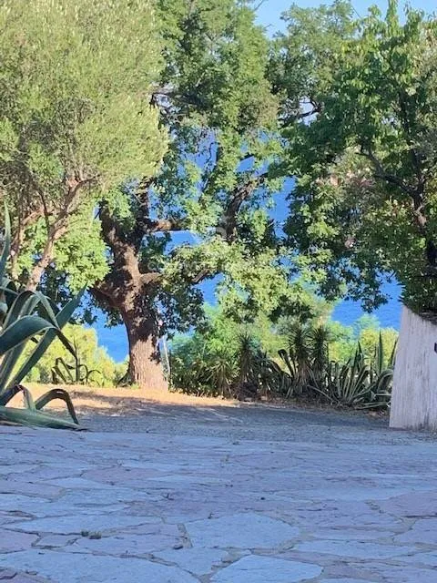 Appartamento in vendita a Centola, Palinuro - foto 10