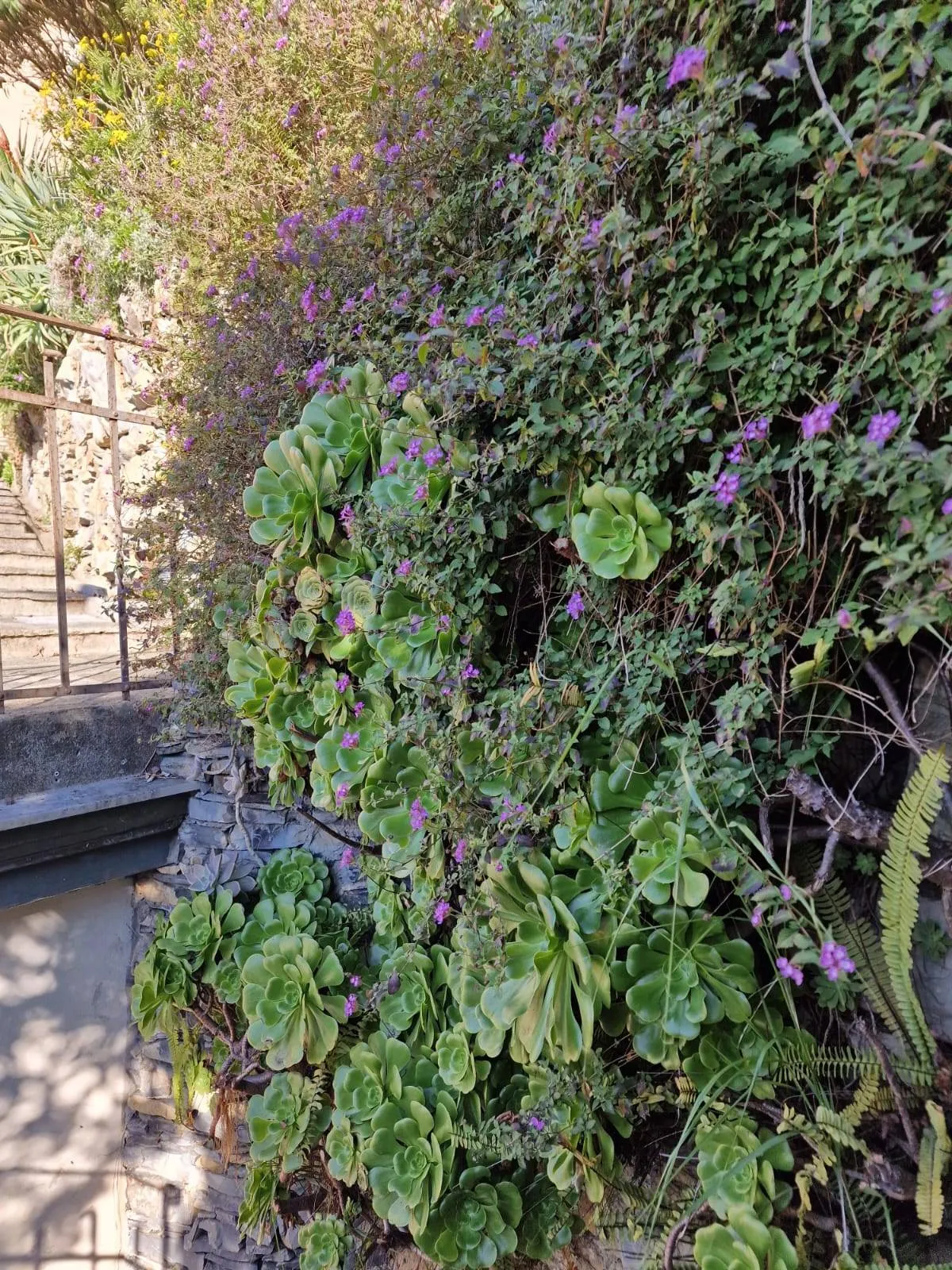Appartamento in vendita a Camogli, Ruta - foto 7