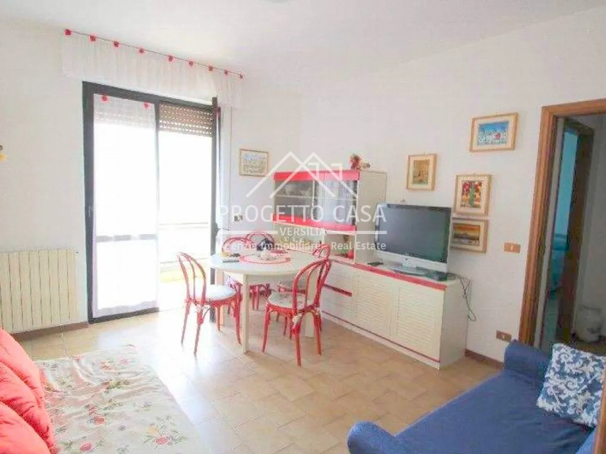Appartamento in vendita a Viareggio, Marco Polo / Don Bosco / Pretura - foto 5