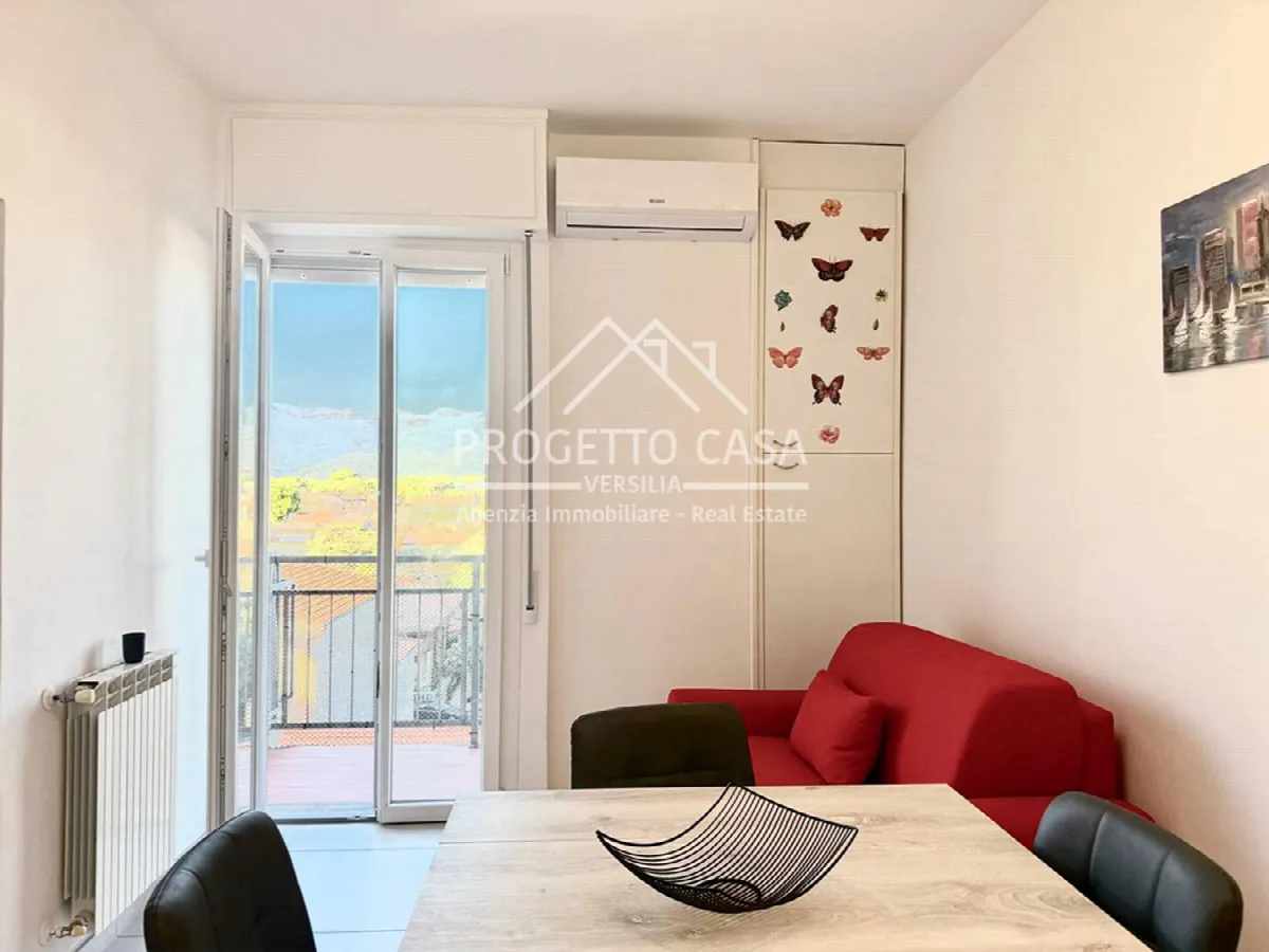 Appartamento in vendita a Camaiore, Lido di Camaiore - foto 7