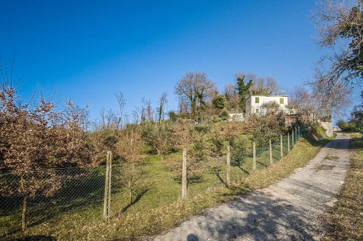 Appartamento in vendita a Venarotta, Campagna - foto 3