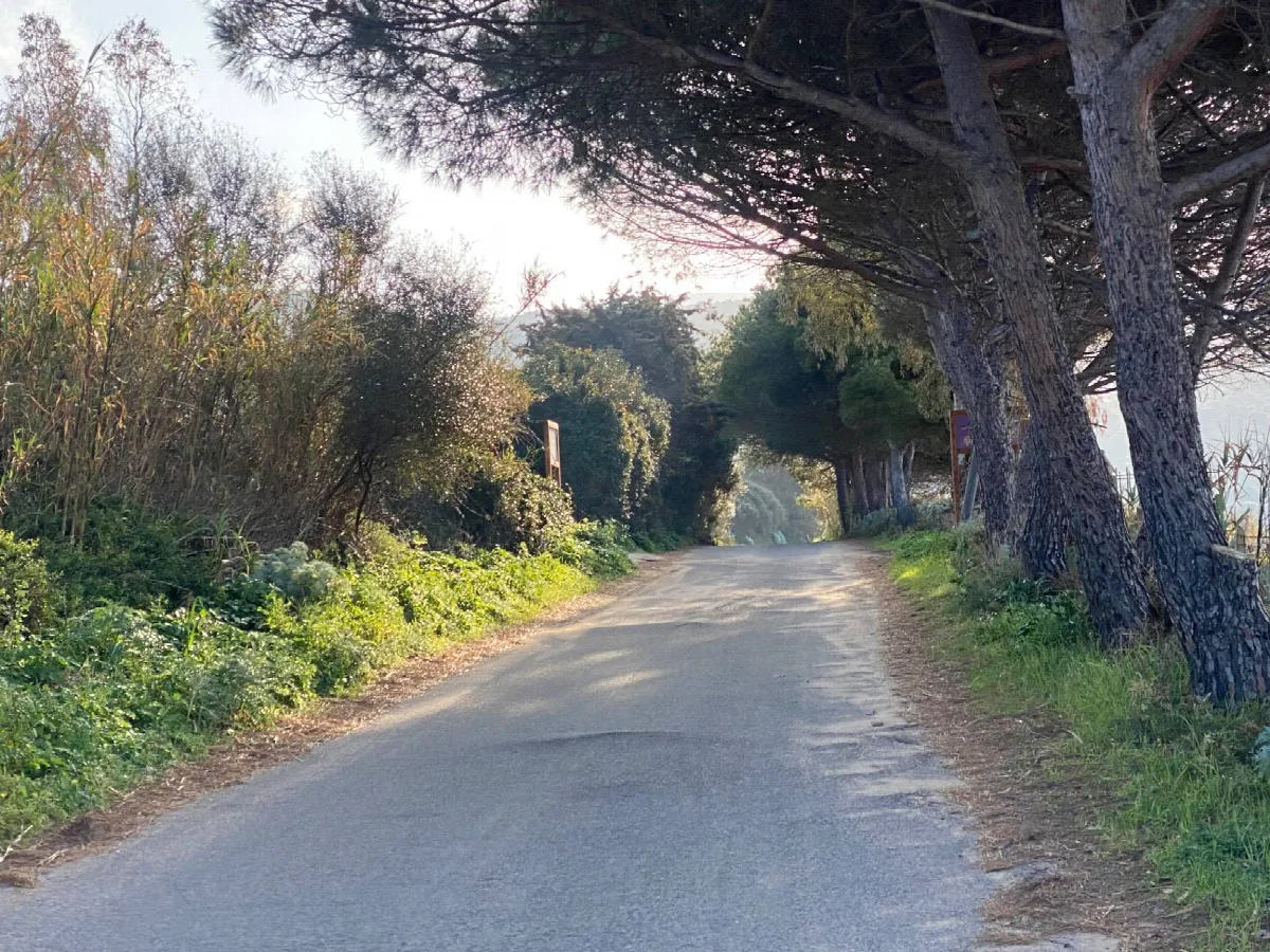 Bilocale in vendita a Badesi - foto 10