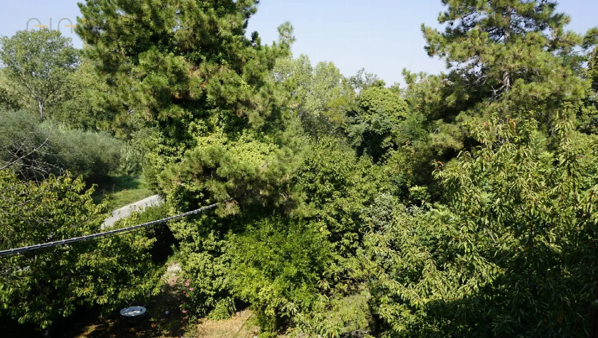 Appartamento in vendita a Offida, Collinare / Campagna - foto 9