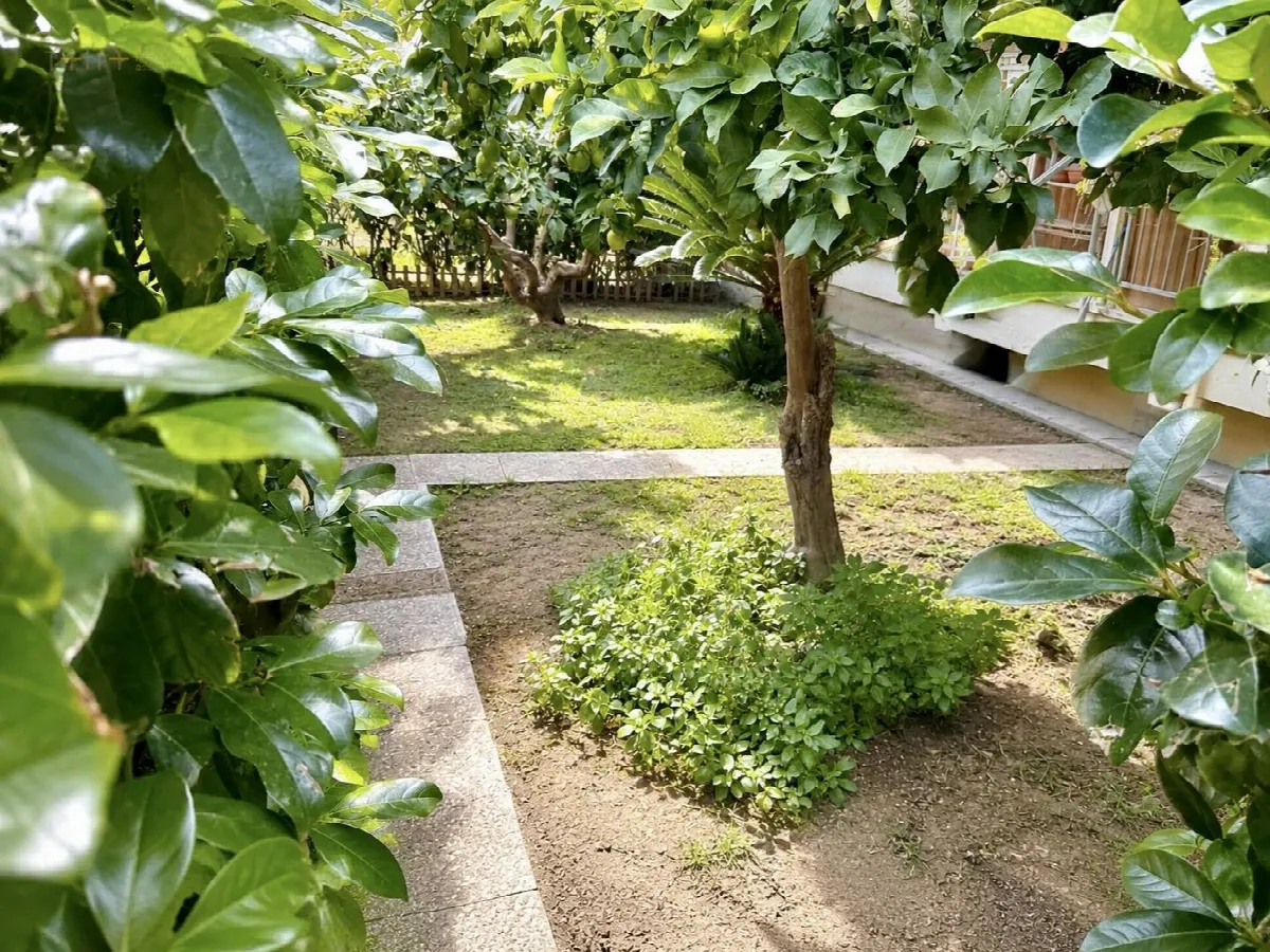 Appartamento in vendita a San Benedetto del Tronto, Porto D'ascoli lungomare - foto 3