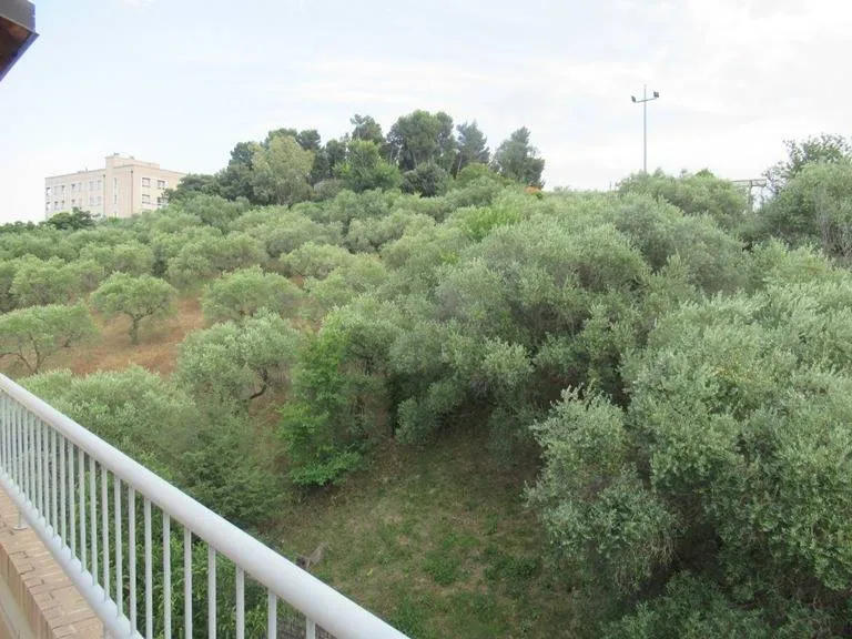 Appartamento in vendita a Spoltore, CENTRO - foto 6