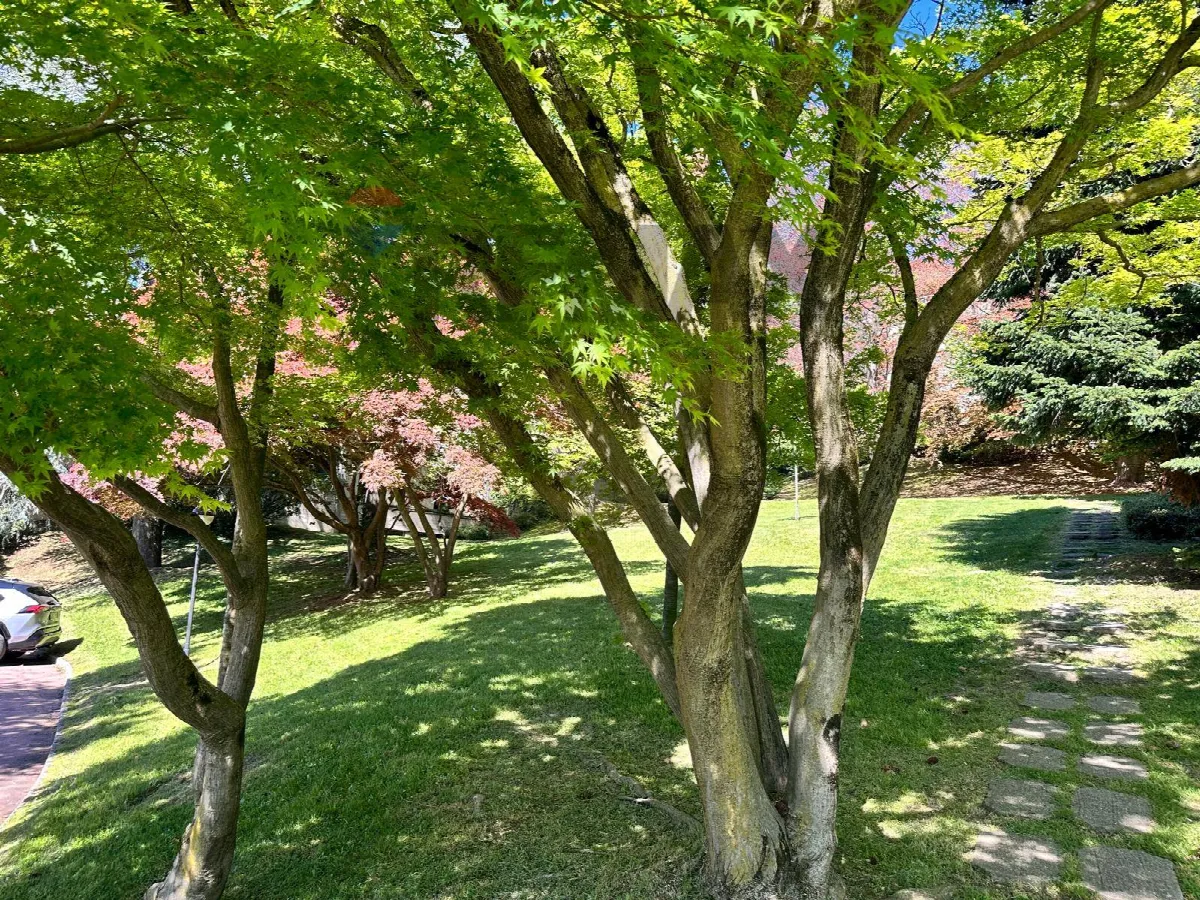 Appartamento in vendita a Varese, Zona Montello - foto 3