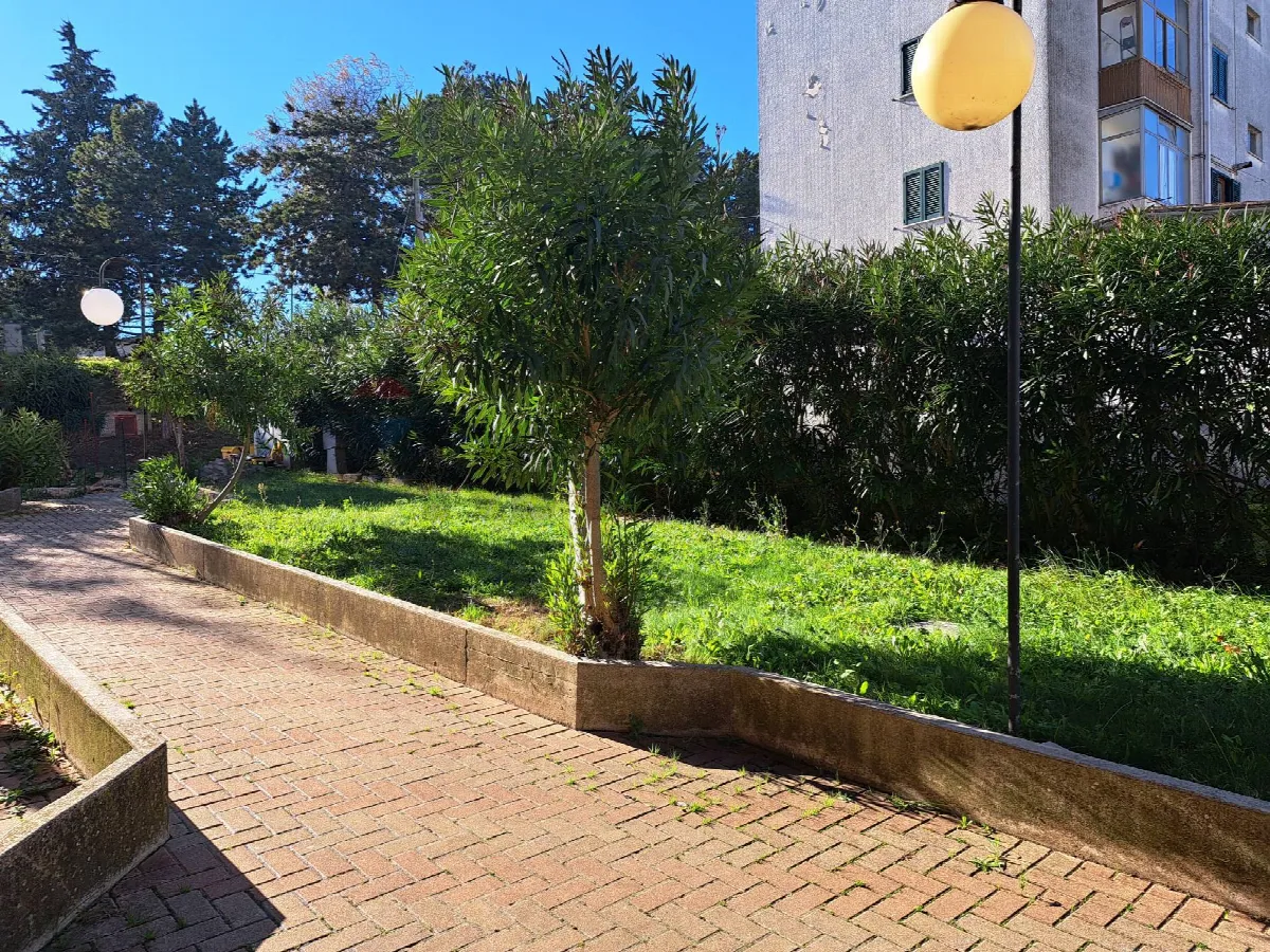 Appartamento in vendita a Castel Frentano - foto 2