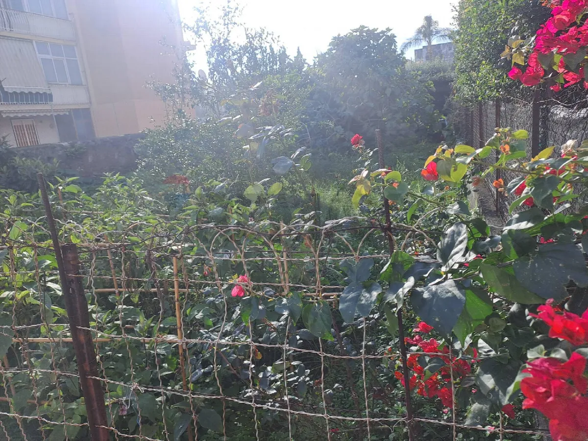Appartamento in vendita a Riposto - foto 5