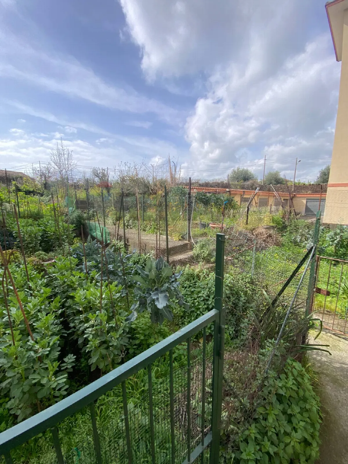 Appartamento in vendita a Acireale - foto 9