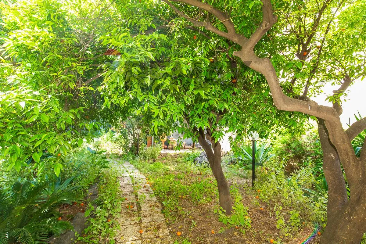 Appartamento in vendita a Catania, Centro Storico - foto 1