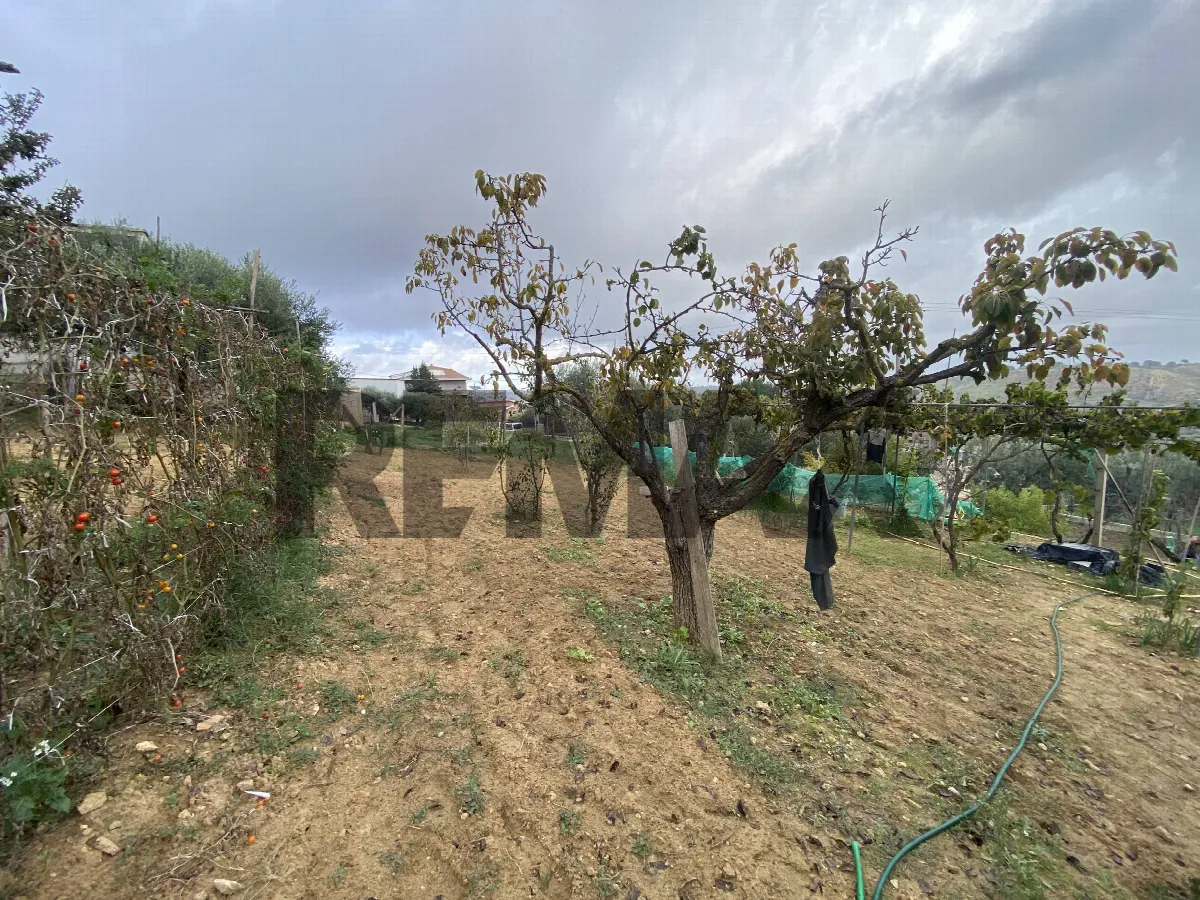 Altro in vendita a Caltagirone - foto 5
