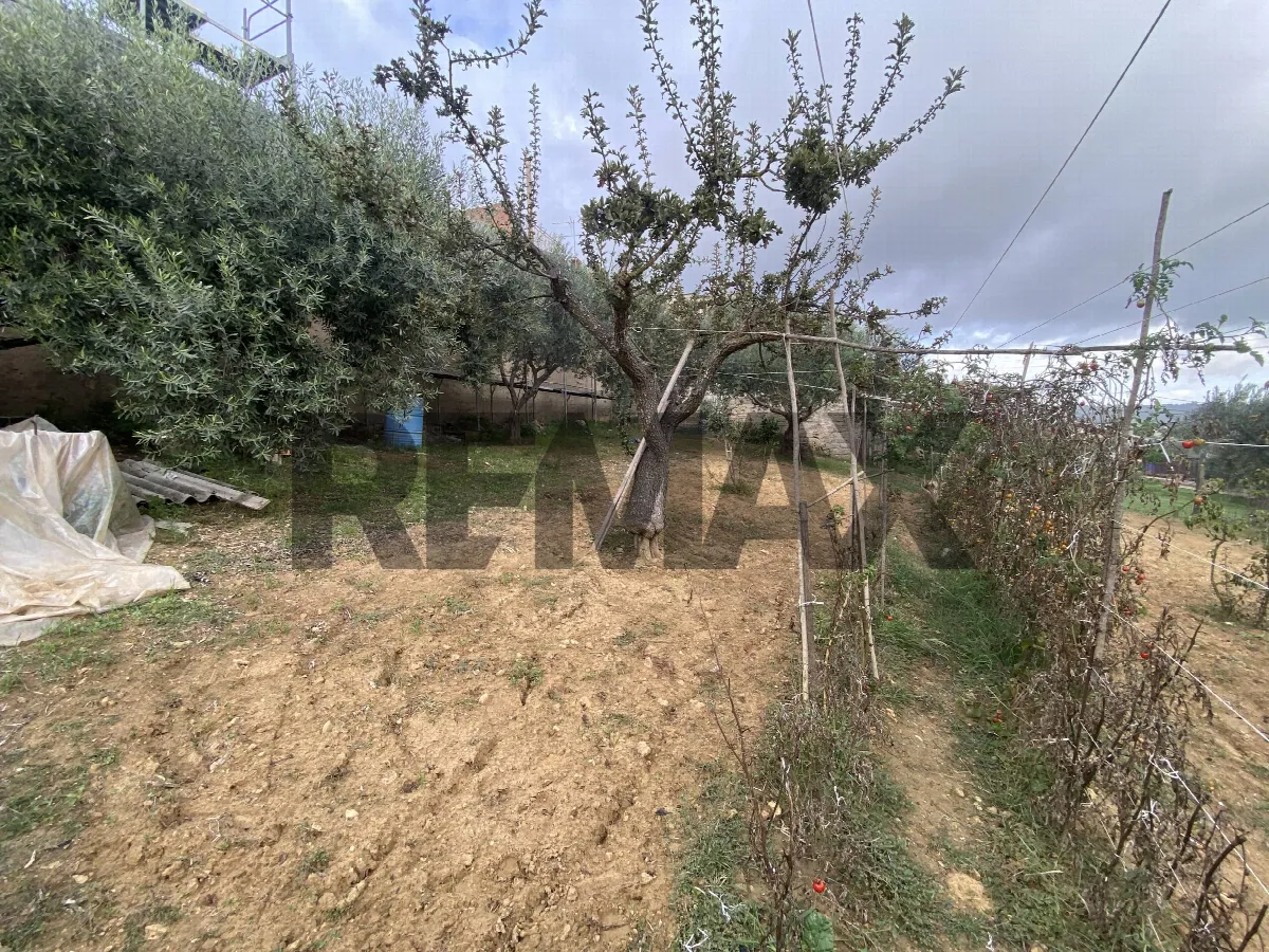 Altro in vendita a Caltagirone - foto 6