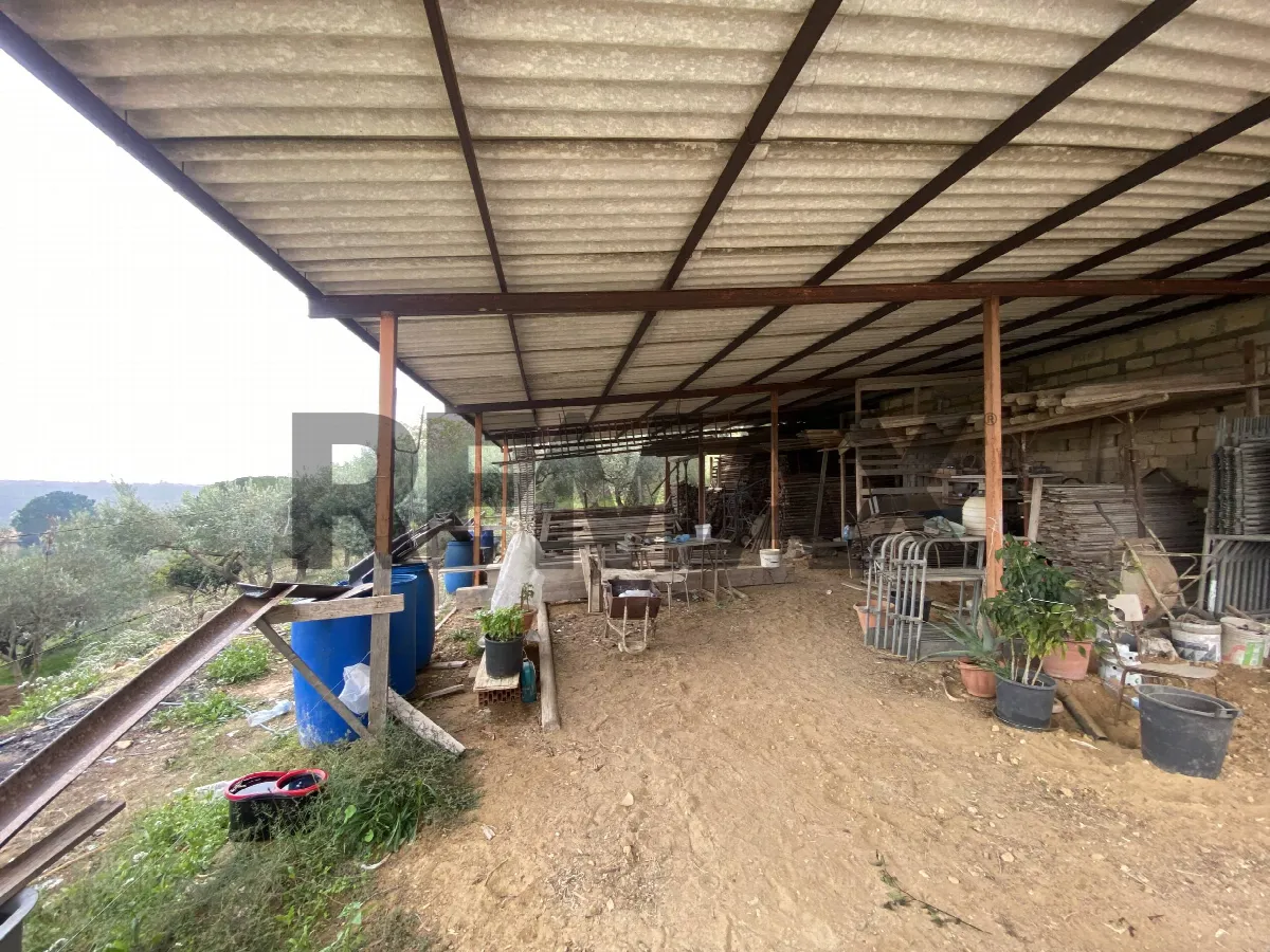 Altro in vendita a Caltagirone - foto 9