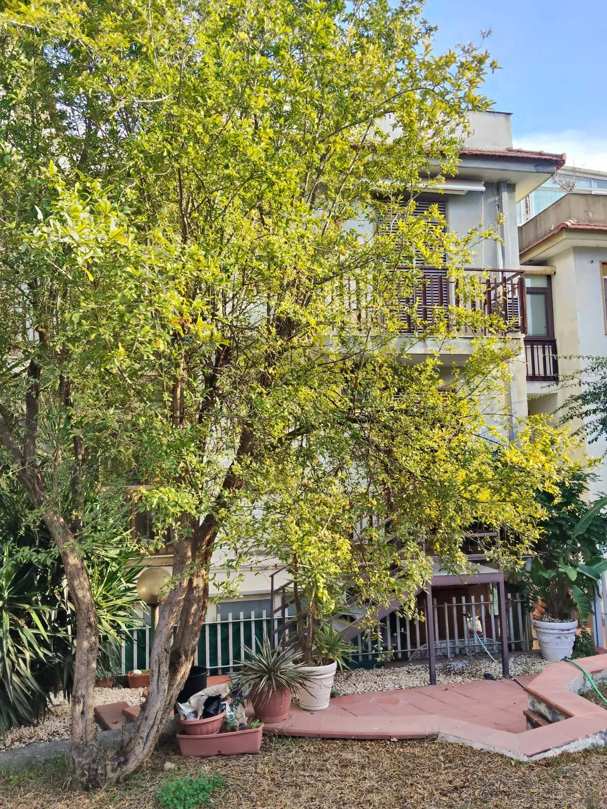 Appartamento in vendita a Catania, Ognina - foto 2