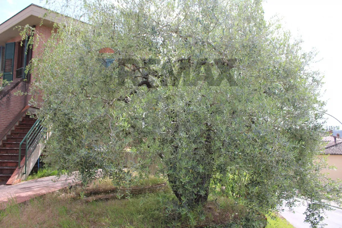 Appartamento in vendita a Castelfiorentino - foto 5
