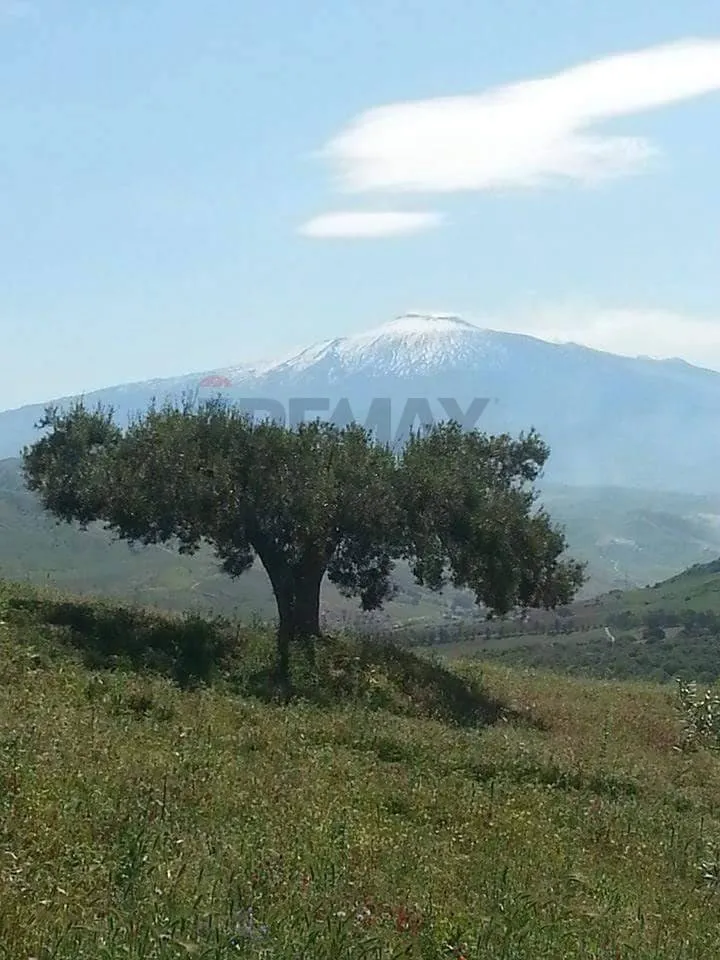 Altro in vendita a Troina - foto 1